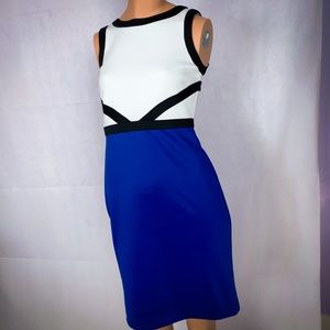 Calvin Klein White and Blue Sheath Dress - Size 2